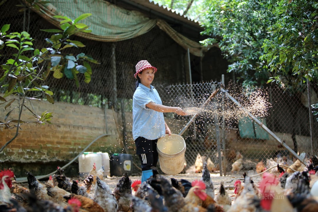 Bước tiến xanh của ngành chăn nuôi